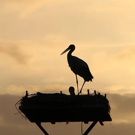 Thormaehlen 3* Bliestorf