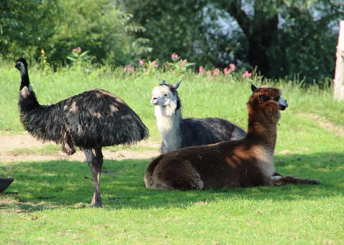 Hotel Thormaehlen Bliestorf