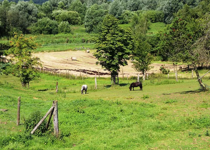 Hotel Thormaehlen 3*