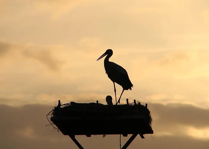 Thormaehlen 3* Bliestorf